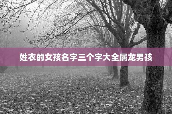 姓衣的女孩名字三个字大全属龙男孩