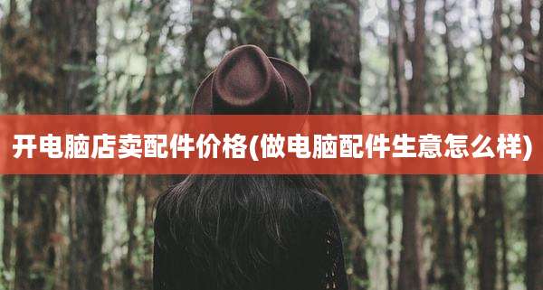 开电脑店卖配件价格(做电脑配件生意怎么样)