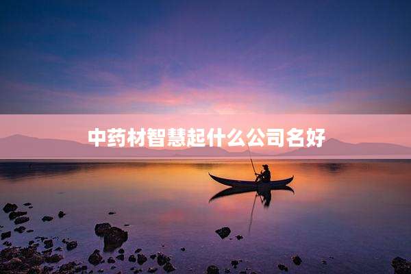 中药材智慧起什么公司名好