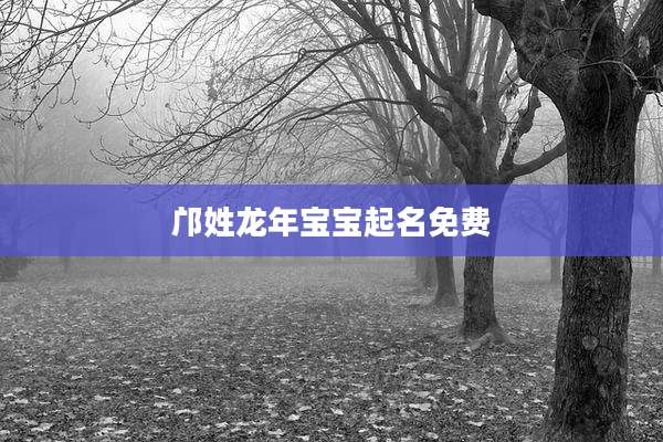 邝姓龙年宝宝起名免费