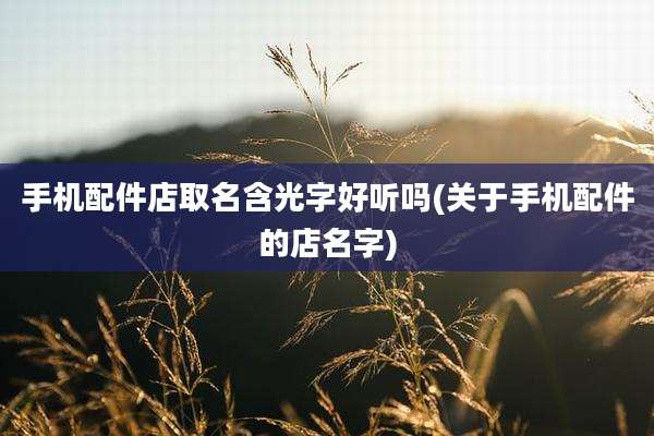 手机配件店取名含光字好听吗(关于手机配件的店名字)