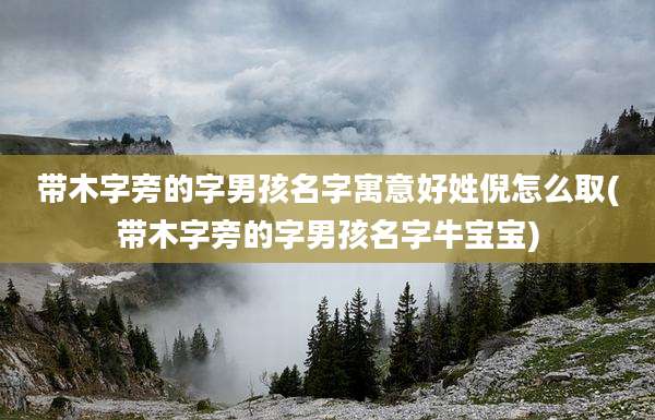 带木字旁的字男孩名字寓意好姓倪怎么取(带木字旁的字男孩名字牛宝宝)