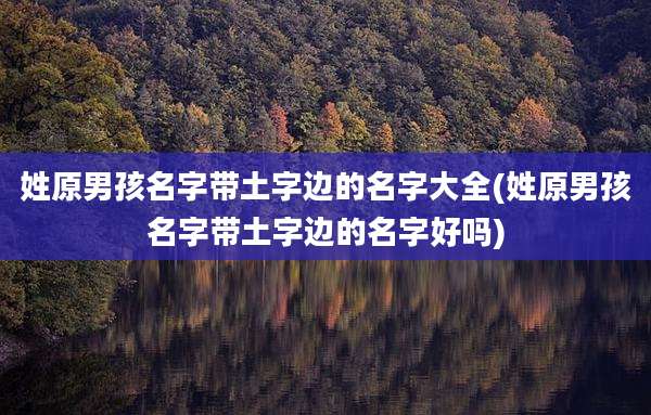 姓原男孩名字带土字边的名字大全(姓原男孩名字带土字边的名字好吗)