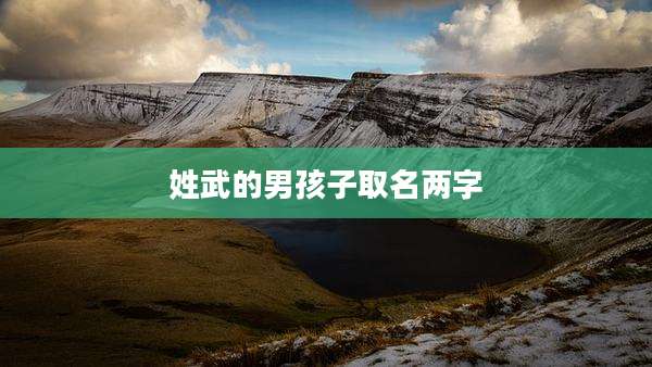 姓武的男孩子取名两字