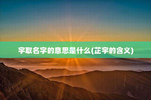宇取名字的意思是什么(芷宇的含义)