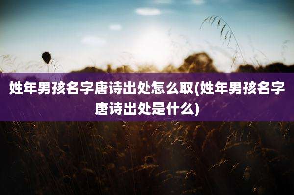 姓年男孩名字唐诗出处怎么取(姓年男孩名字唐诗出处是什么)
