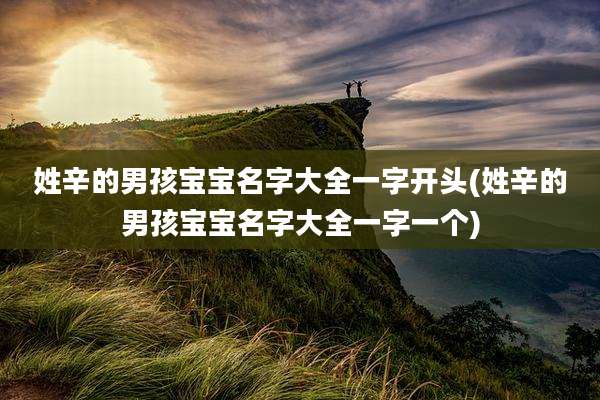 姓辛的男孩宝宝名字大全一字开头(姓辛的男孩宝宝名字大全一字一个)