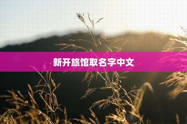 新开旅馆取名字中文