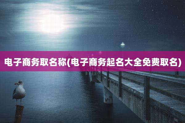电子商务取名称(电子商务起名大全免费取名)
