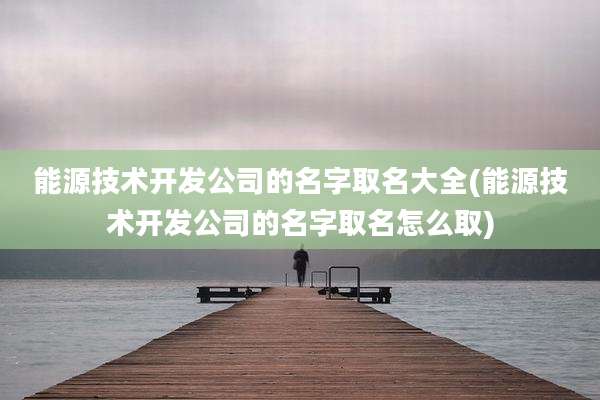 能源技术开发公司的名字取名大全(能源技术开发公司的名字取名怎么取)