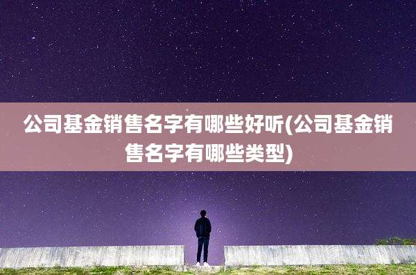 公司基金销售名字有哪些好听(公司基金销售名字有哪些类型)