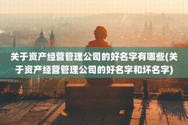关于资产经营管理公司的好名字有哪些(关于资产经营管理公司的好名字和坏名字)