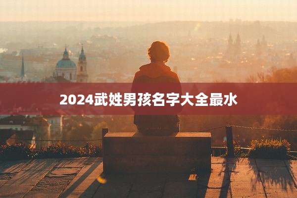 2024武姓男孩名字大全最水