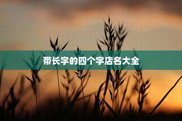 带长字的四个字店名大全