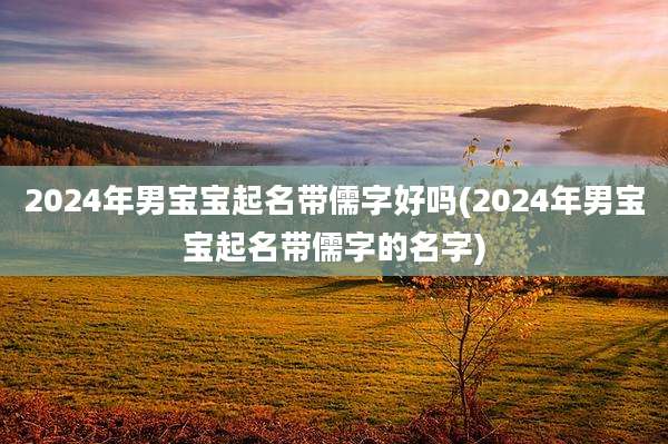 2024年男宝宝起名带儒字好吗(2024年男宝宝起名带儒字的名字)