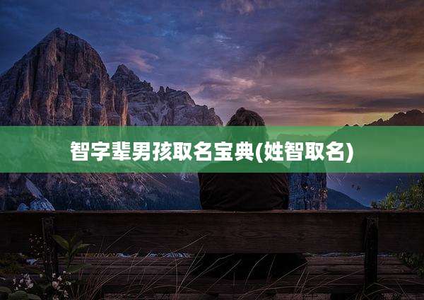 智字辈男孩取名宝典(姓智取名)