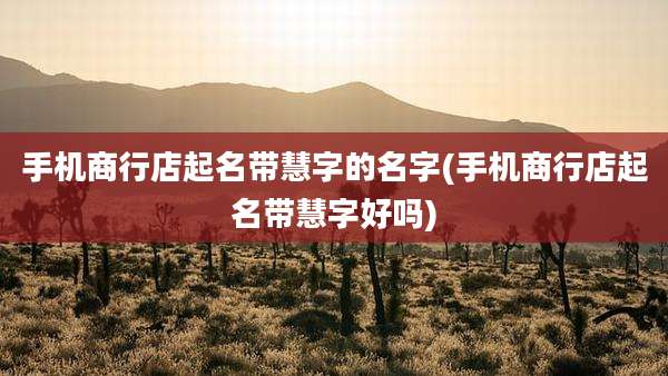 手机商行店起名带慧字的名字(手机商行店起名带慧字好吗)