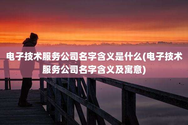 电子技术服务公司名字含义是什么(电子技术服务公司名字含义及寓意)