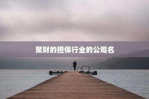 聚财的担保行业的公司名