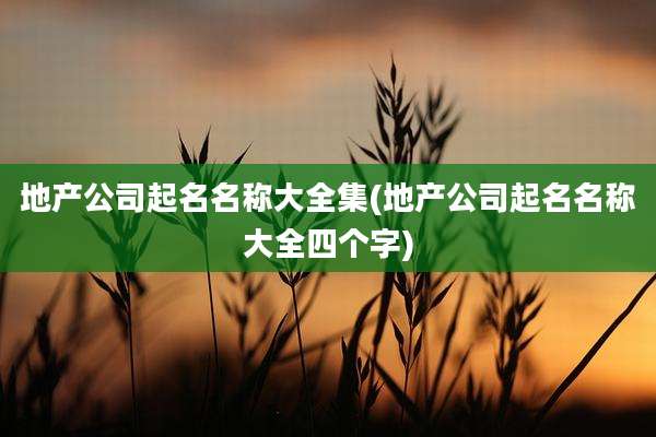 地产公司起名名称大全集(地产公司起名名称大全四个字)