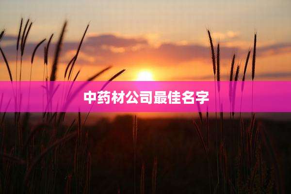 中药材公司最佳名字