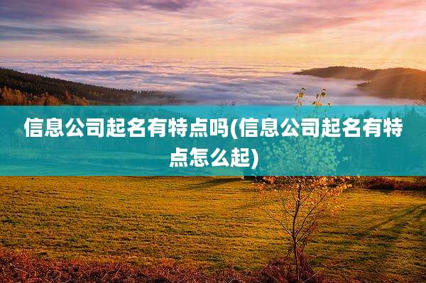 信息公司起名有特点吗(信息公司起名有特点怎么起)