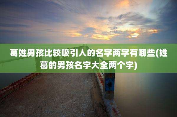 葛姓男孩比较吸引人的名字两字有哪些(姓葛的男孩名字大全两个字)
