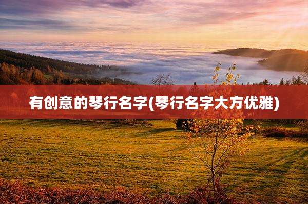 有创意的琴行名字(琴行名字大方优雅)