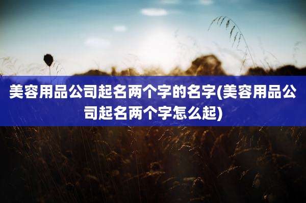 美容用品公司起名两个字的名字(美容用品公司起名两个字怎么起)
