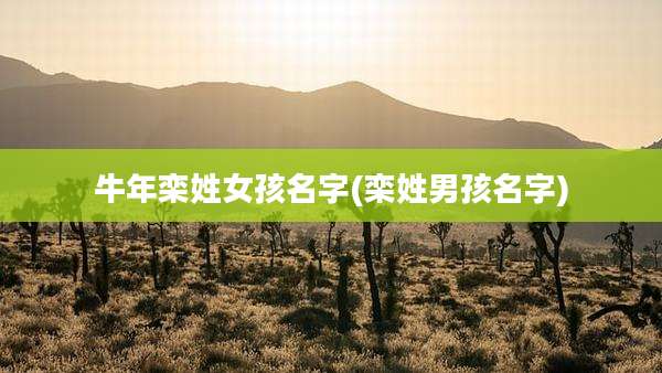 牛年栾姓女孩名字(栾姓男孩名字)