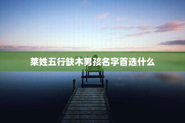 莱姓五行缺木男孩名字首选什么