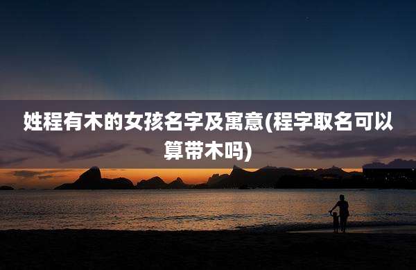 姓程有木的女孩名字及寓意(程字取名可以算带木吗)