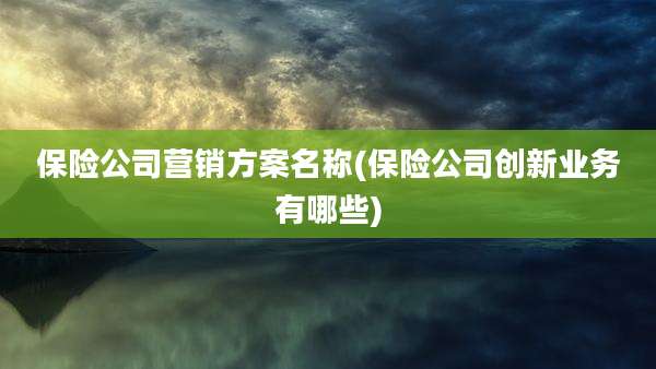 保险公司营销方案名称(保险公司创新业务有哪些)
