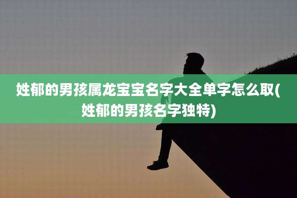 姓郁的男孩属龙宝宝名字大全单字怎么取(姓郁的男孩名字独特)