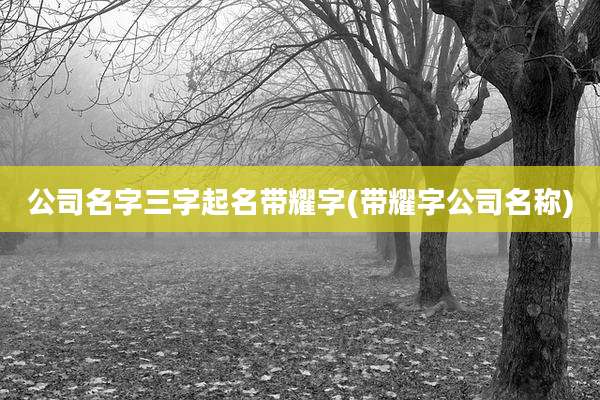 公司名字三字起名带耀字(带耀字公司名称)