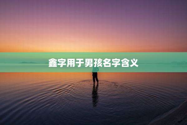 鑫字用于男孩名字含义
