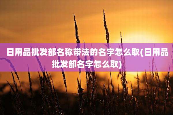 日用品批发部名称带法的名字怎么取(日用品批发部名字怎么取)