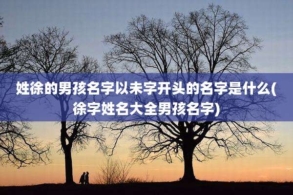 姓徐的男孩名字以未字开头的名字是什么(徐字姓名大全男孩名字)