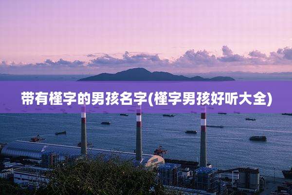 带有槿字的男孩名字(槿字男孩好听大全)