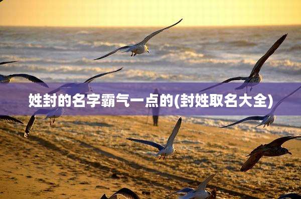 姓封的名字霸气一点的(封姓取名大全)