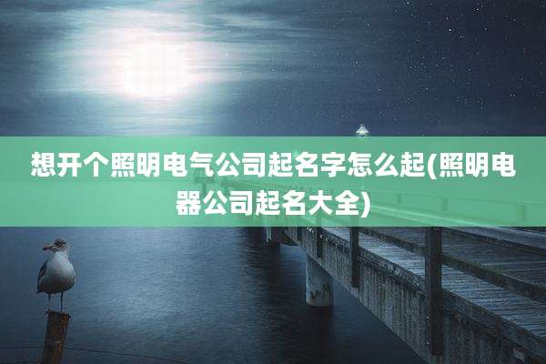想开个照明电气公司起名字怎么起(照明电器公司起名大全)