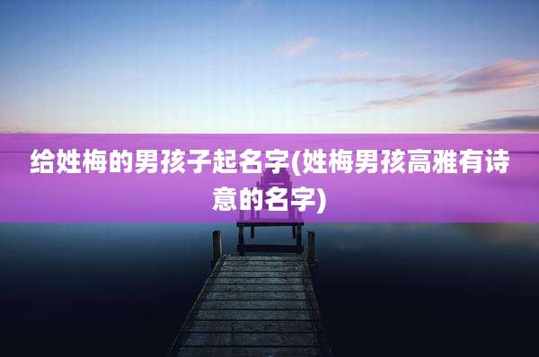 给姓梅的男孩子起名字(姓梅男孩高雅有诗意的名字)