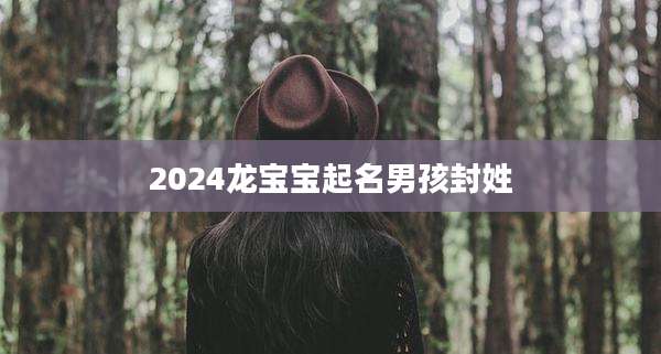2024龙宝宝起名男孩封姓