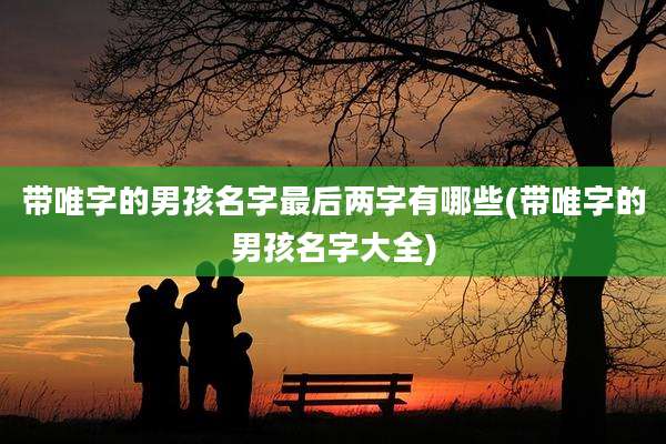 带唯字的男孩名字最后两字有哪些(带唯字的男孩名字大全)