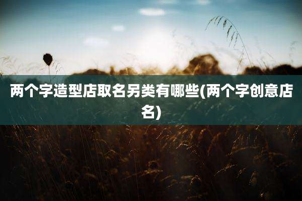 两个字造型店取名另类有哪些(两个字创意店名)