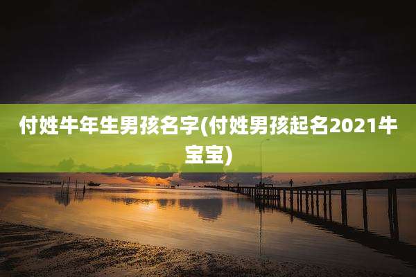 付姓牛年生男孩名字(付姓男孩起名2021牛宝宝)
