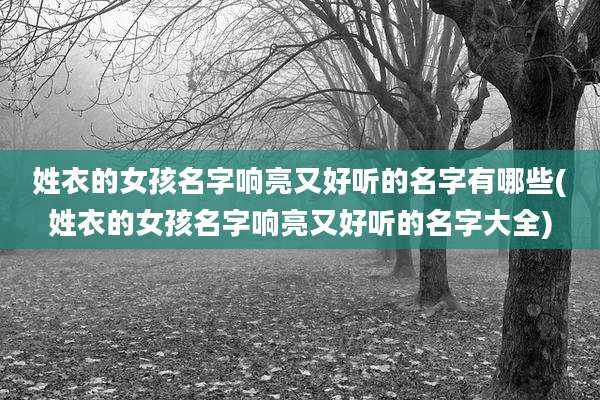 姓衣的女孩名字响亮又好听的名字有哪些(姓衣的女孩名字响亮又好听的名字大全)