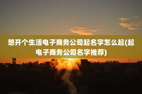 想开个生活电子商务公司起名字怎么起(起电子商务公司名字推荐)
