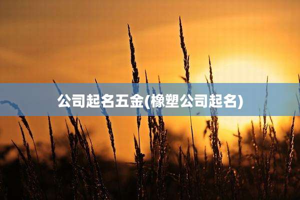 公司起名五金(橡塑公司起名)