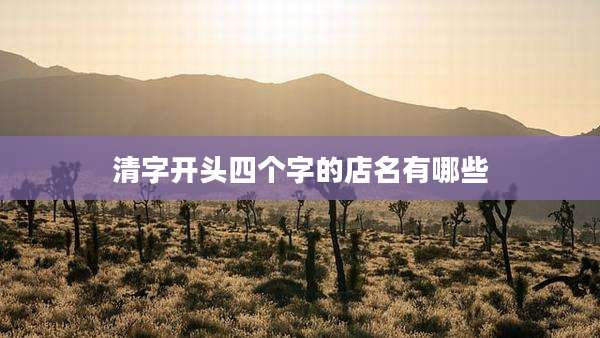 清字开头四个字的店名有哪些
